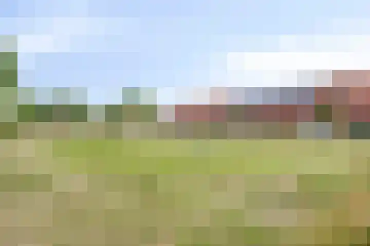 Esdoornstraat 35 Maurik thumbnail 39