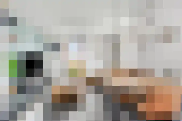 Esdoornstraat 35 Maurik thumbnail 9