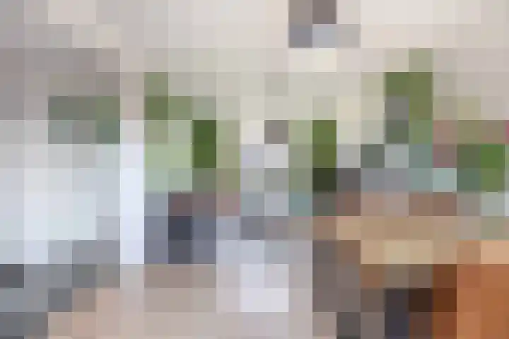 Esdoornstraat 38 Ooltgensplaat thumbnail 7