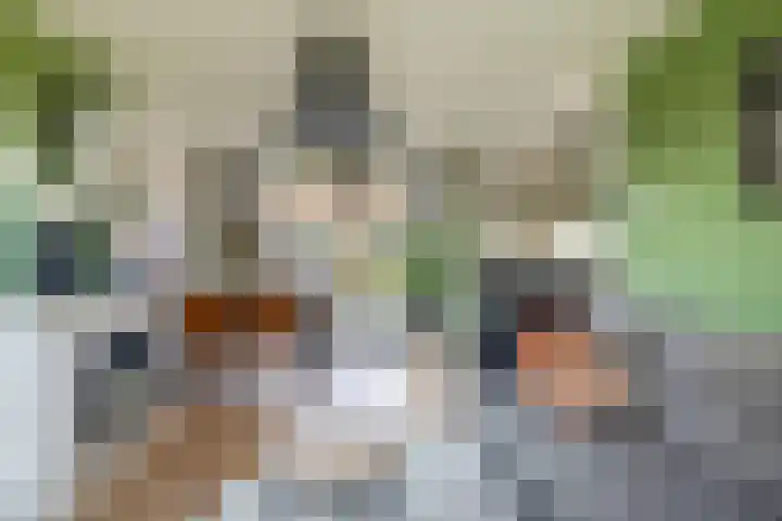 Esdoornstraat 38 Ooltgensplaat thumbnail 9