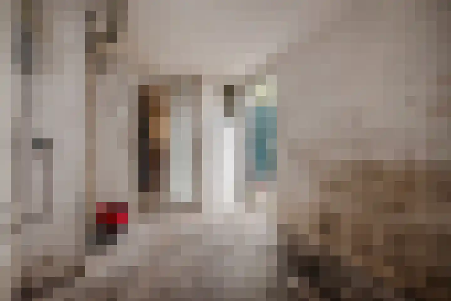 Esdoornstraat 38 Rijswijk thumbnail 13