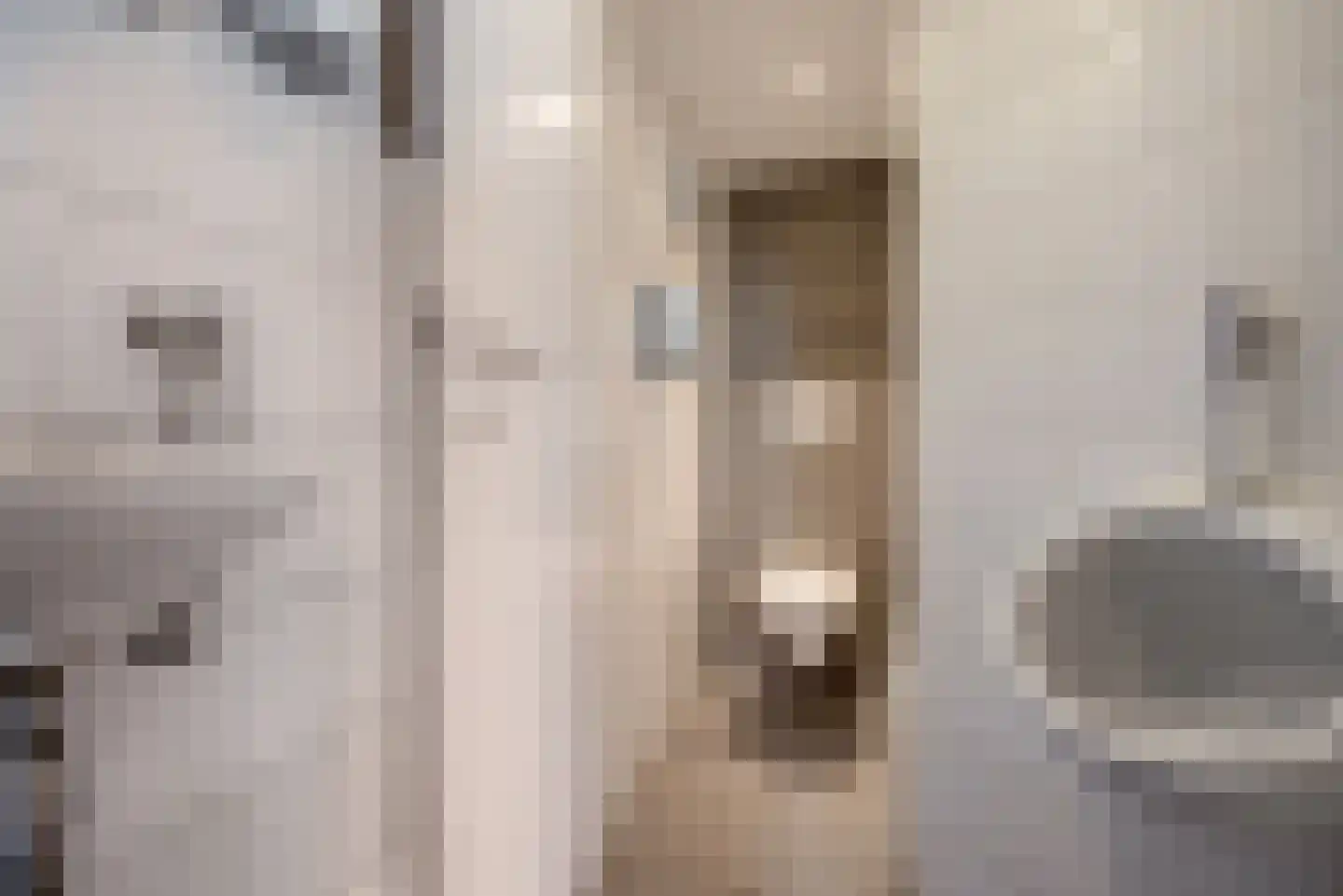 Esdoornstraat 38 Rijswijk thumbnail 16