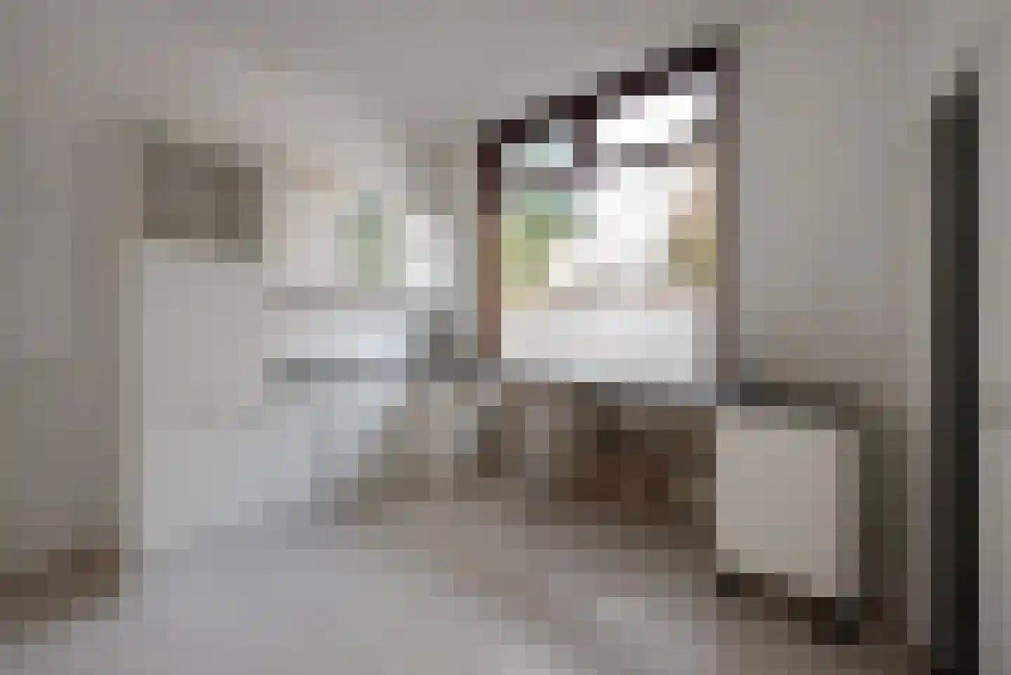 Esdoornstraat 38 Rijswijk thumbnail 23