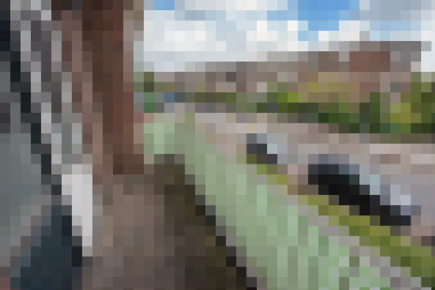 Esdoornstraat 38 Rijswijk thumbnail 26