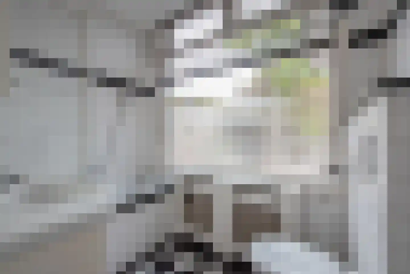 Esdoornstraat 38 Rijswijk thumbnail 28