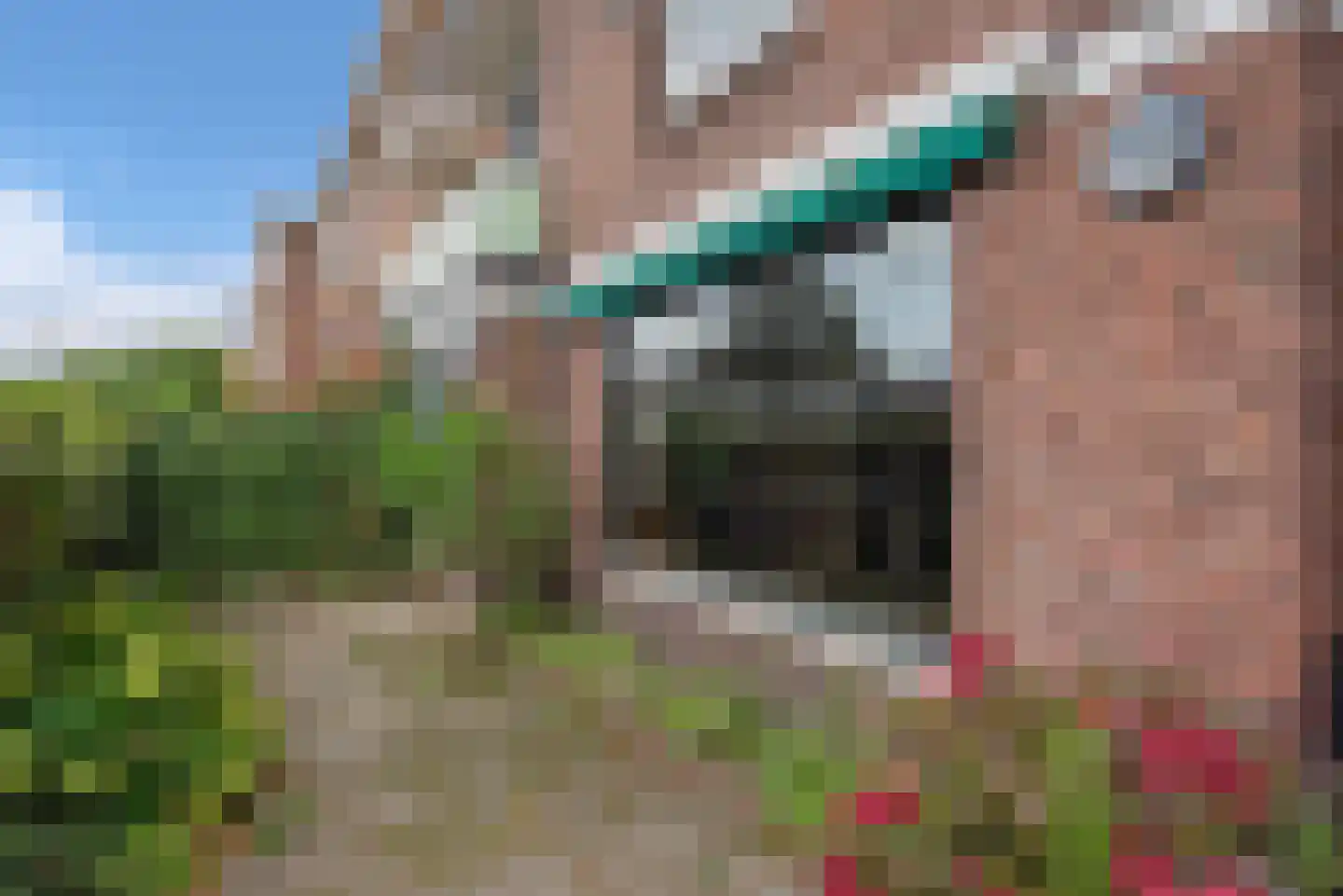 Esdoornstraat 38 Rijswijk thumbnail 31