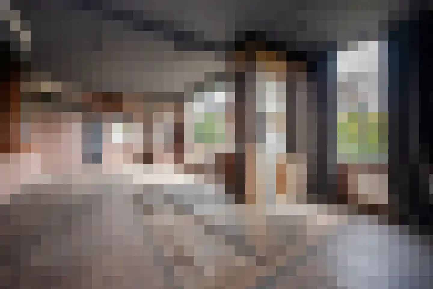 Esdoornstraat 38 Rijswijk thumbnail 7