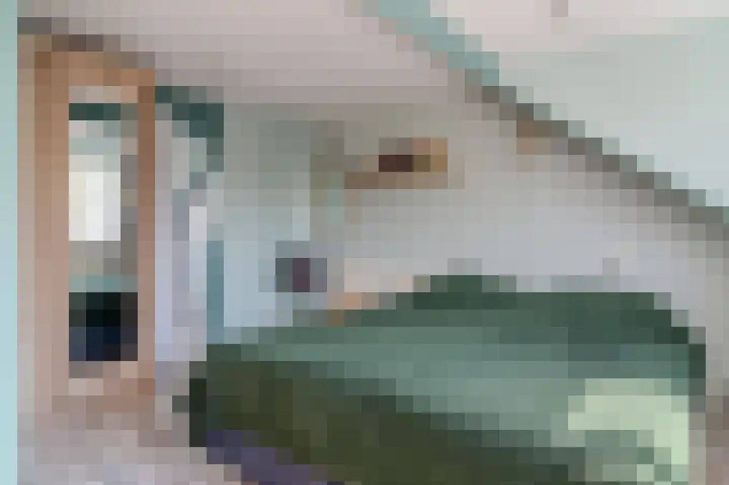 Esdoornstraat 39 Bleiswijk thumbnail 24