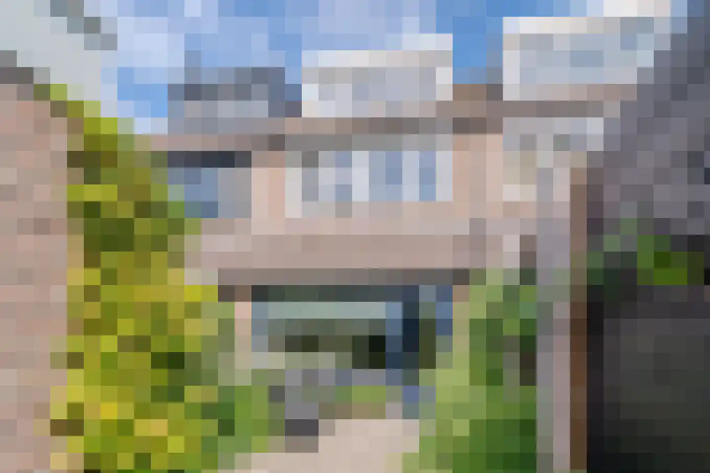 Esdoornstraat 39 Bleiswijk thumbnail 26