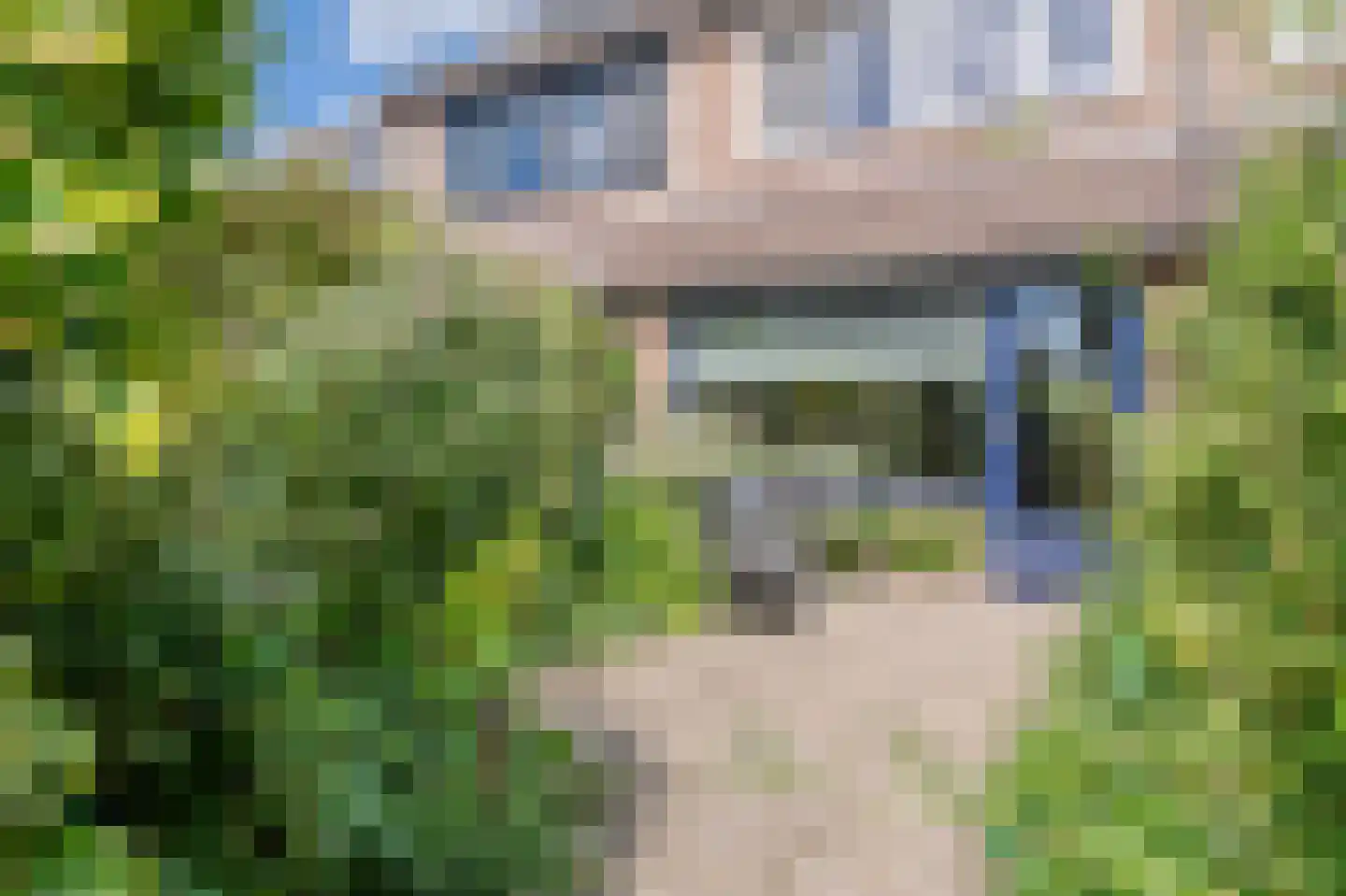 Esdoornstraat 39 Bleiswijk thumbnail 27