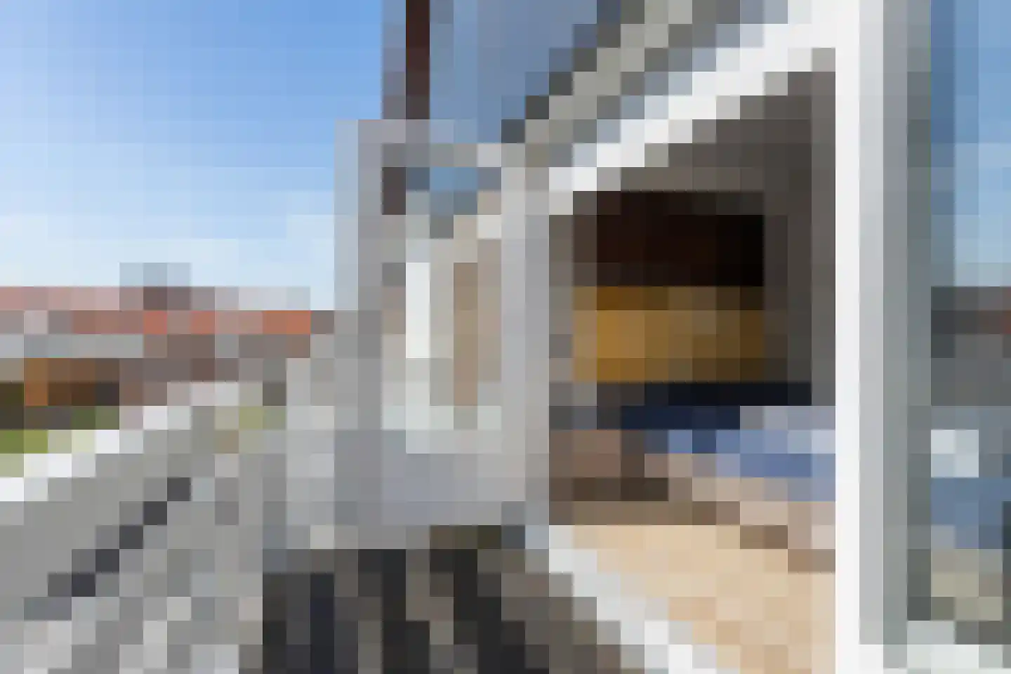 Esdoornstraat 4 Cadzand thumbnail 21
