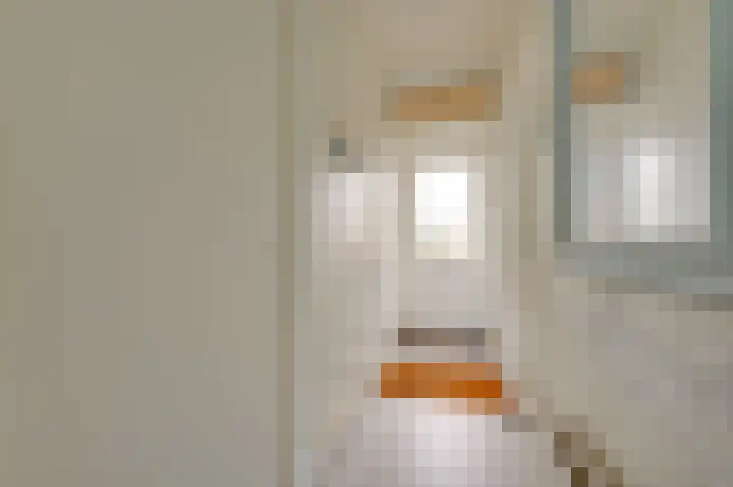 Esdoornstraat 4 Cadzand thumbnail 4