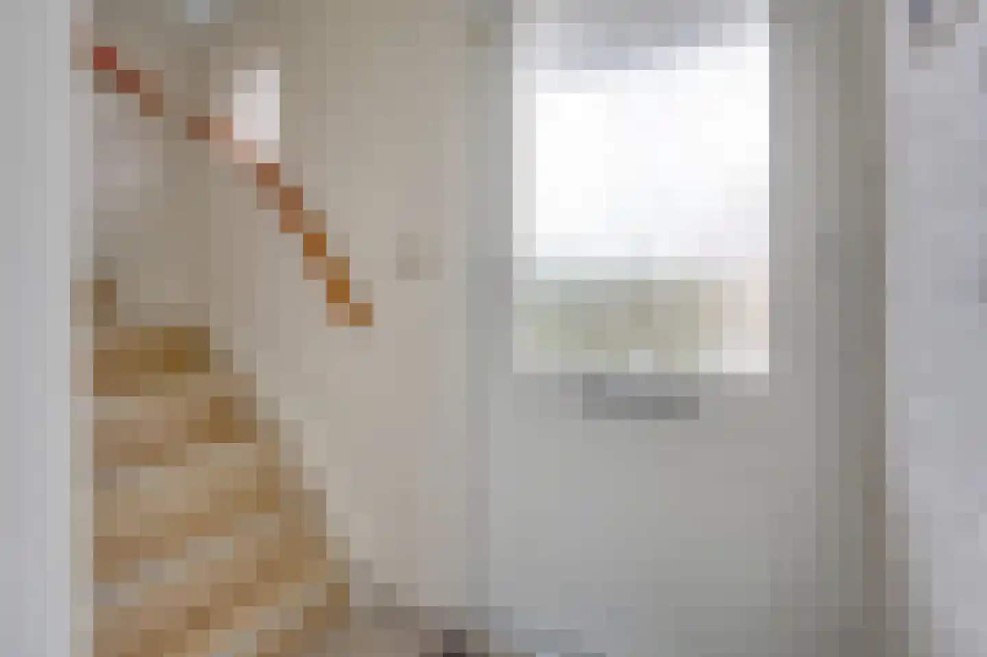 Esdoornstraat 4 Cadzand thumbnail 5