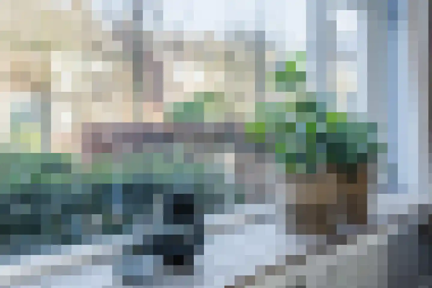 Esdoornstraat 4 Driebruggen thumbnail 12