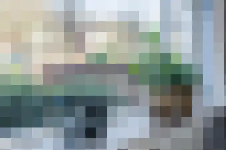 Esdoornstraat 4 Driebruggen thumbnail 12