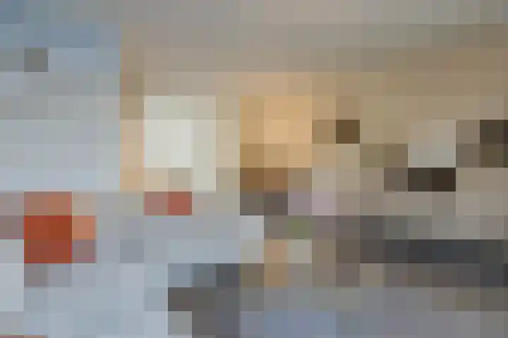 Esdoornstraat 4 Driebruggen thumbnail 14