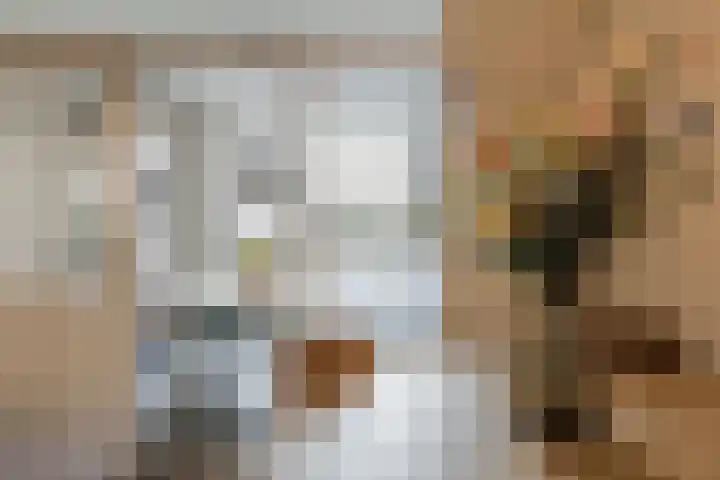 Esdoornstraat 4 Driebruggen thumbnail 18