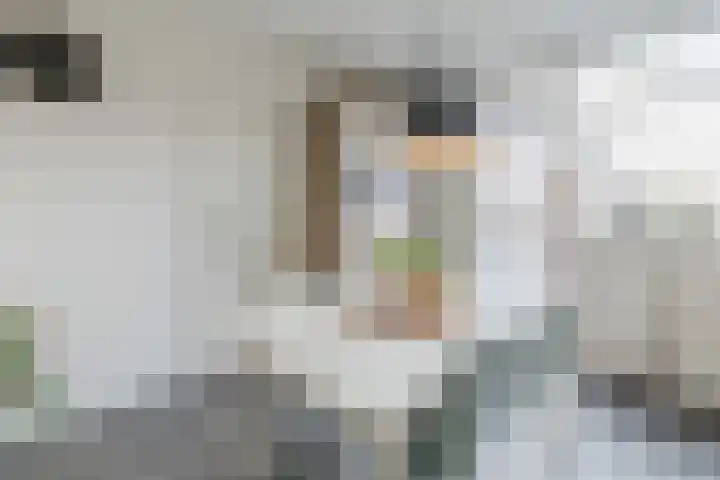Esdoornstraat 4 Driebruggen thumbnail 19