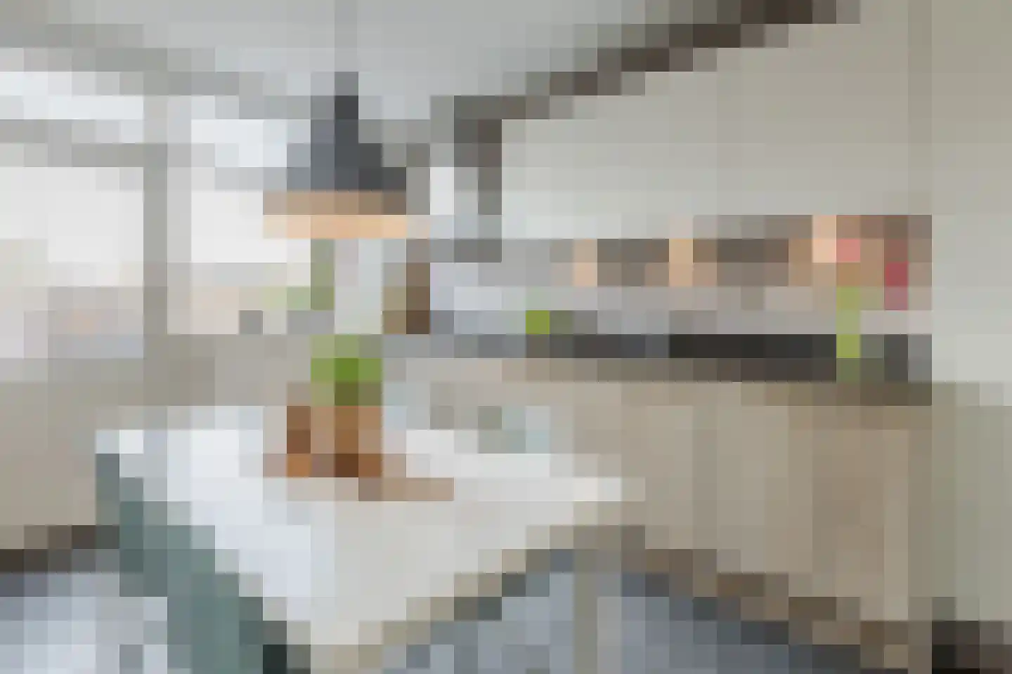 Esdoornstraat 4 Driebruggen thumbnail 21