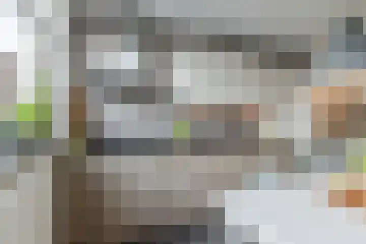 Esdoornstraat 4 Driebruggen thumbnail 21