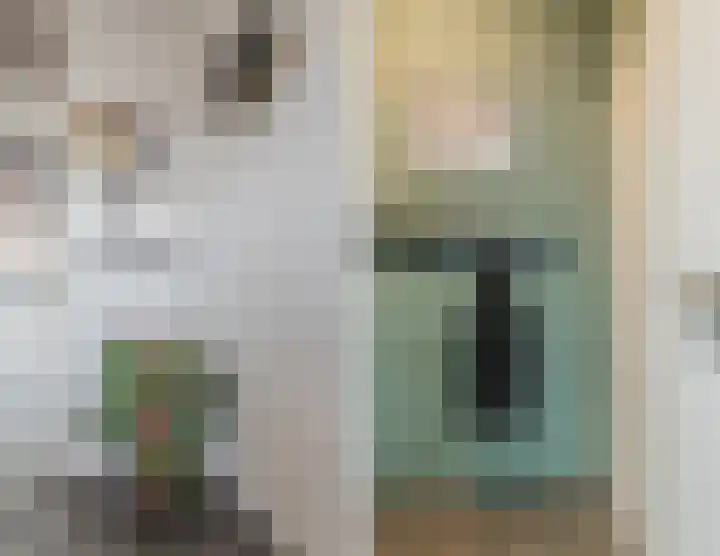 Esdoornstraat 4 Driebruggen thumbnail 23