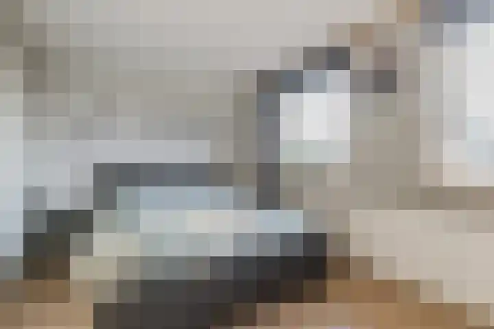 Esdoornstraat 4 Driebruggen thumbnail 25