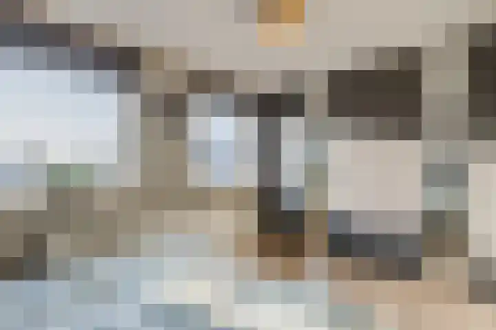 Esdoornstraat 4 Driebruggen thumbnail 26