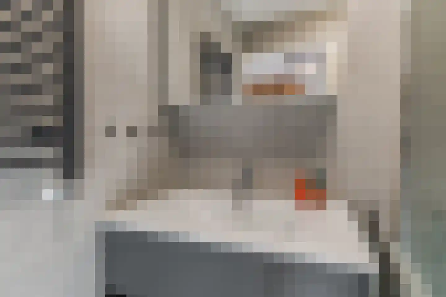 Esdoornstraat 4 Driebruggen thumbnail 29