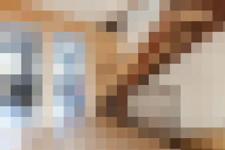 Esdoornstraat 4 Driebruggen thumbnail 32