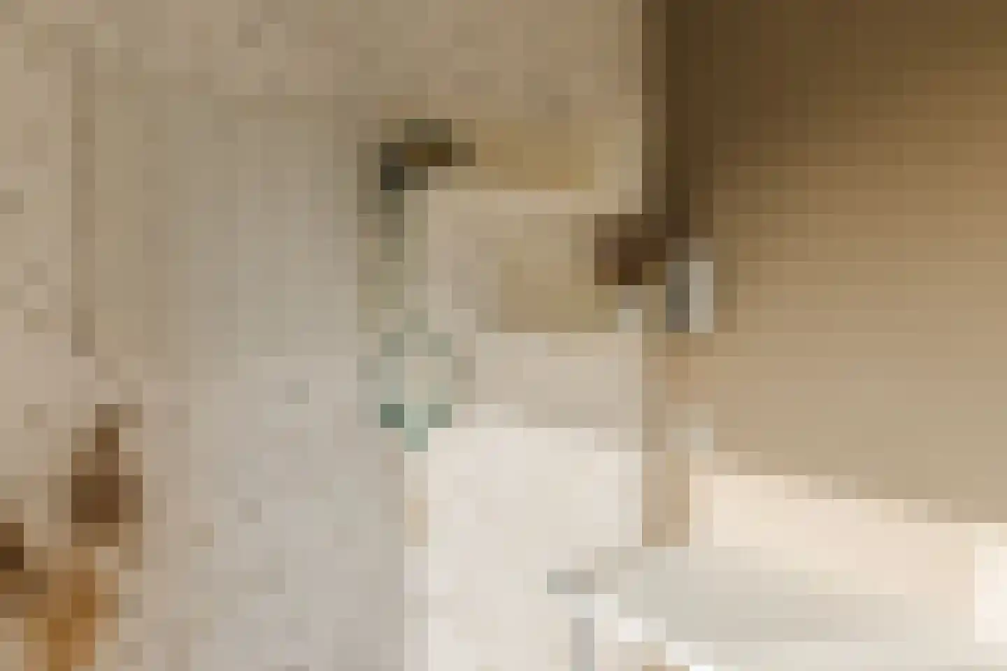 Esdoornstraat 4 Driebruggen thumbnail 33