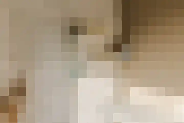 Esdoornstraat 4 Driebruggen thumbnail 34