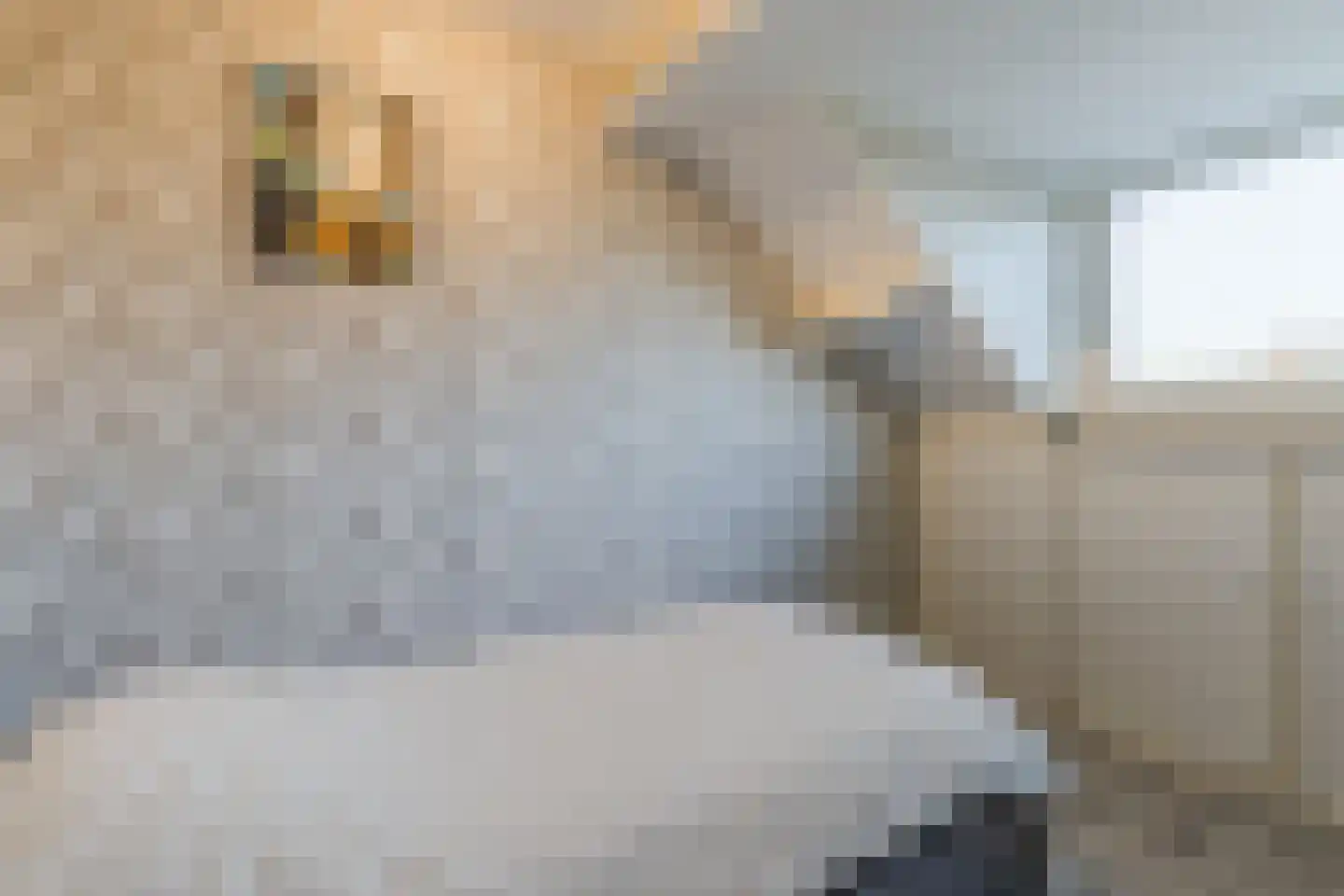 Esdoornstraat 4 Driebruggen thumbnail 34