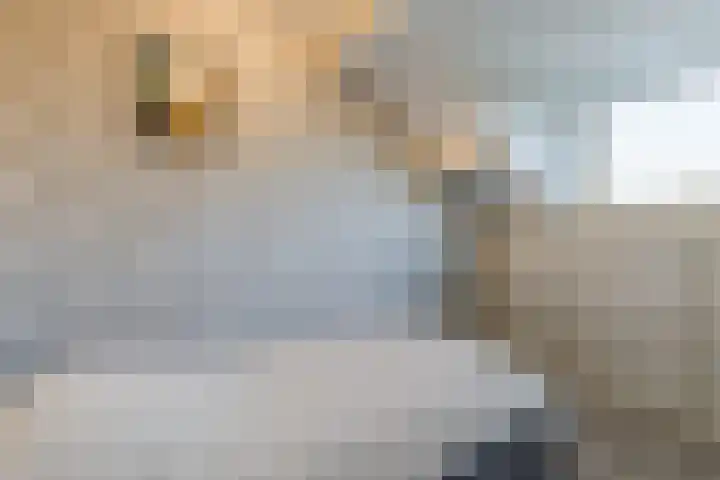 Esdoornstraat 4 Driebruggen thumbnail 35