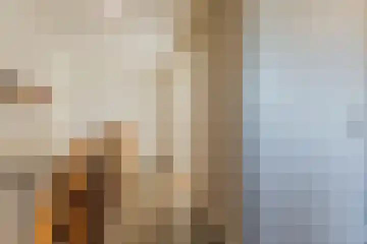 Esdoornstraat 4 Driebruggen thumbnail 36