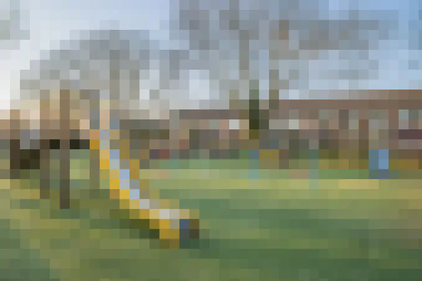 Esdoornstraat 4 Driebruggen thumbnail 42