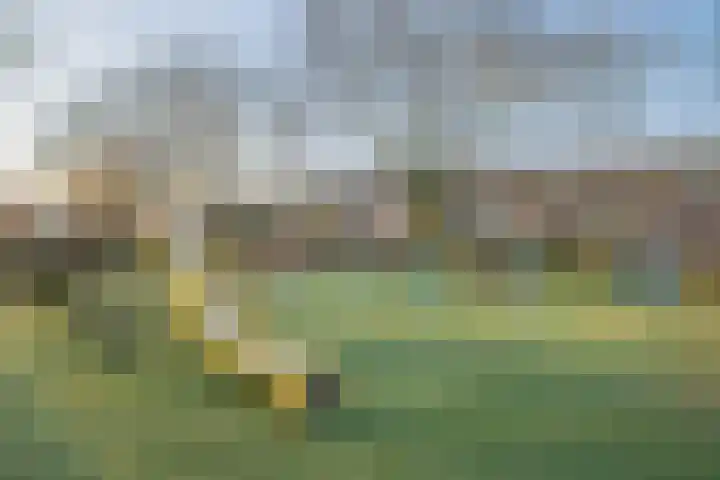 Esdoornstraat 4 Driebruggen thumbnail 43