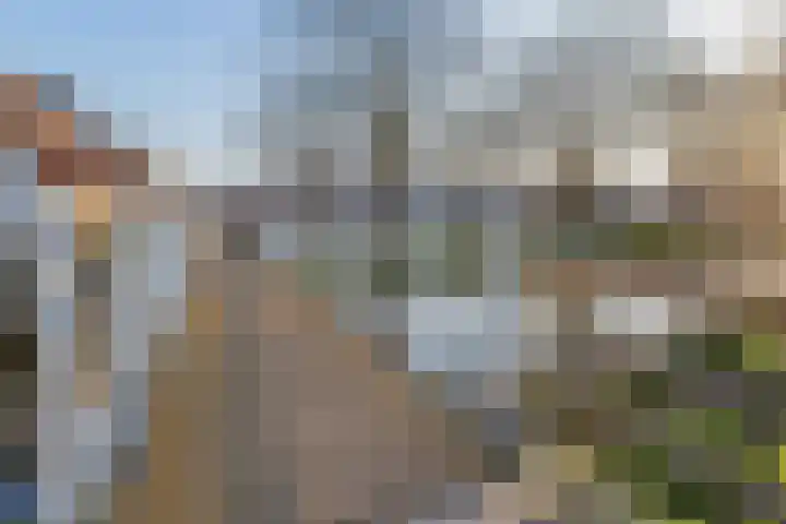 Esdoornstraat 4 Driebruggen thumbnail 44