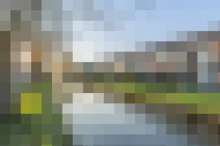 Esdoornstraat 4 Driebruggen thumbnail 45