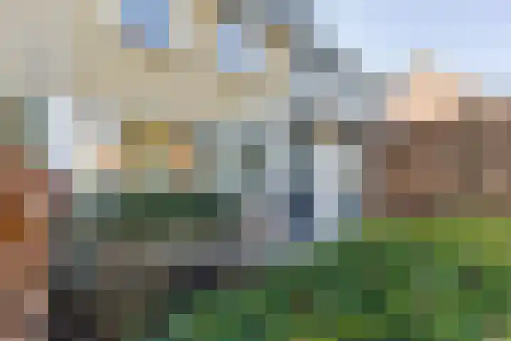 Esdoornstraat 4 Driebruggen thumbnail 7