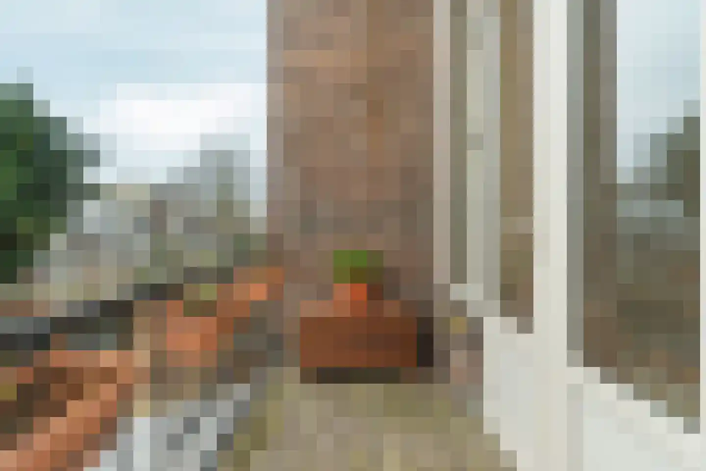 Esdoornstraat 40 Den Haag thumbnail 35
