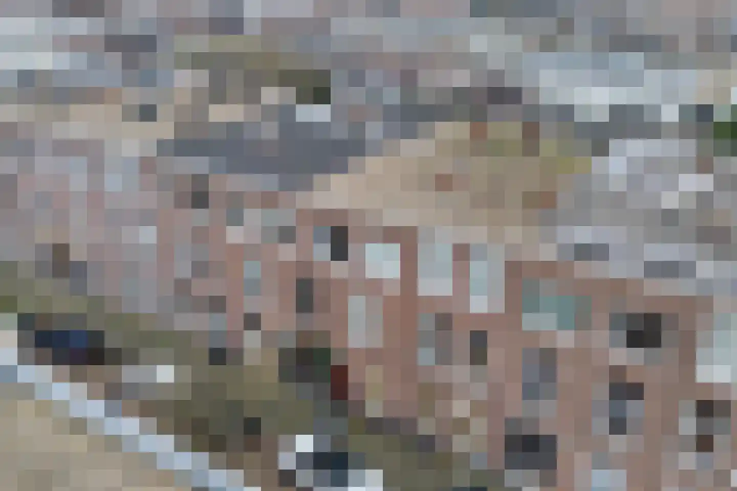 Esdoornstraat 40 Den Haag thumbnail 41