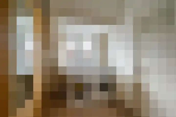 Esdoornstraat 40 Utrecht thumbnail 38