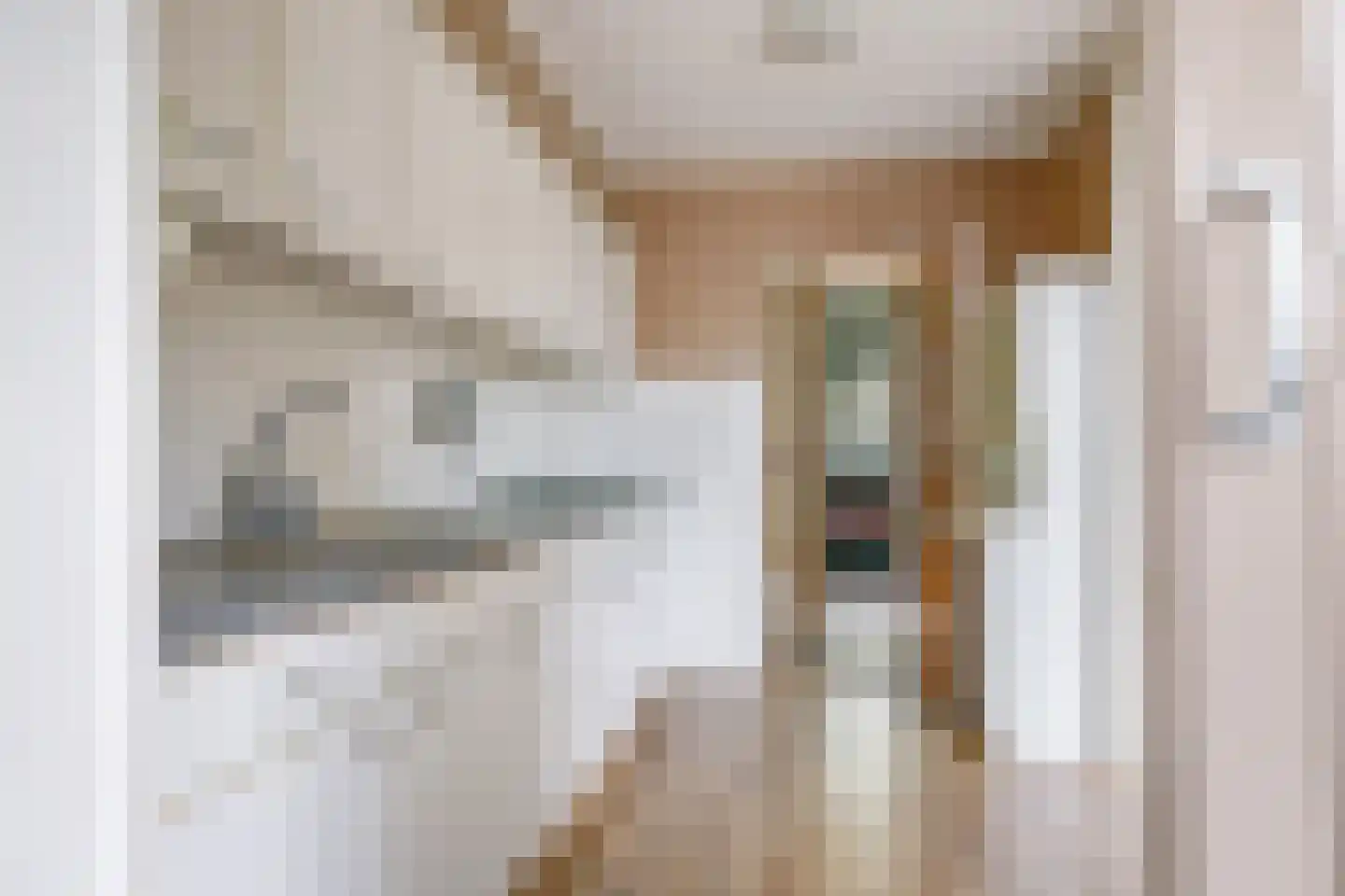Esdoornstraat 42 Bemmel thumbnail 23