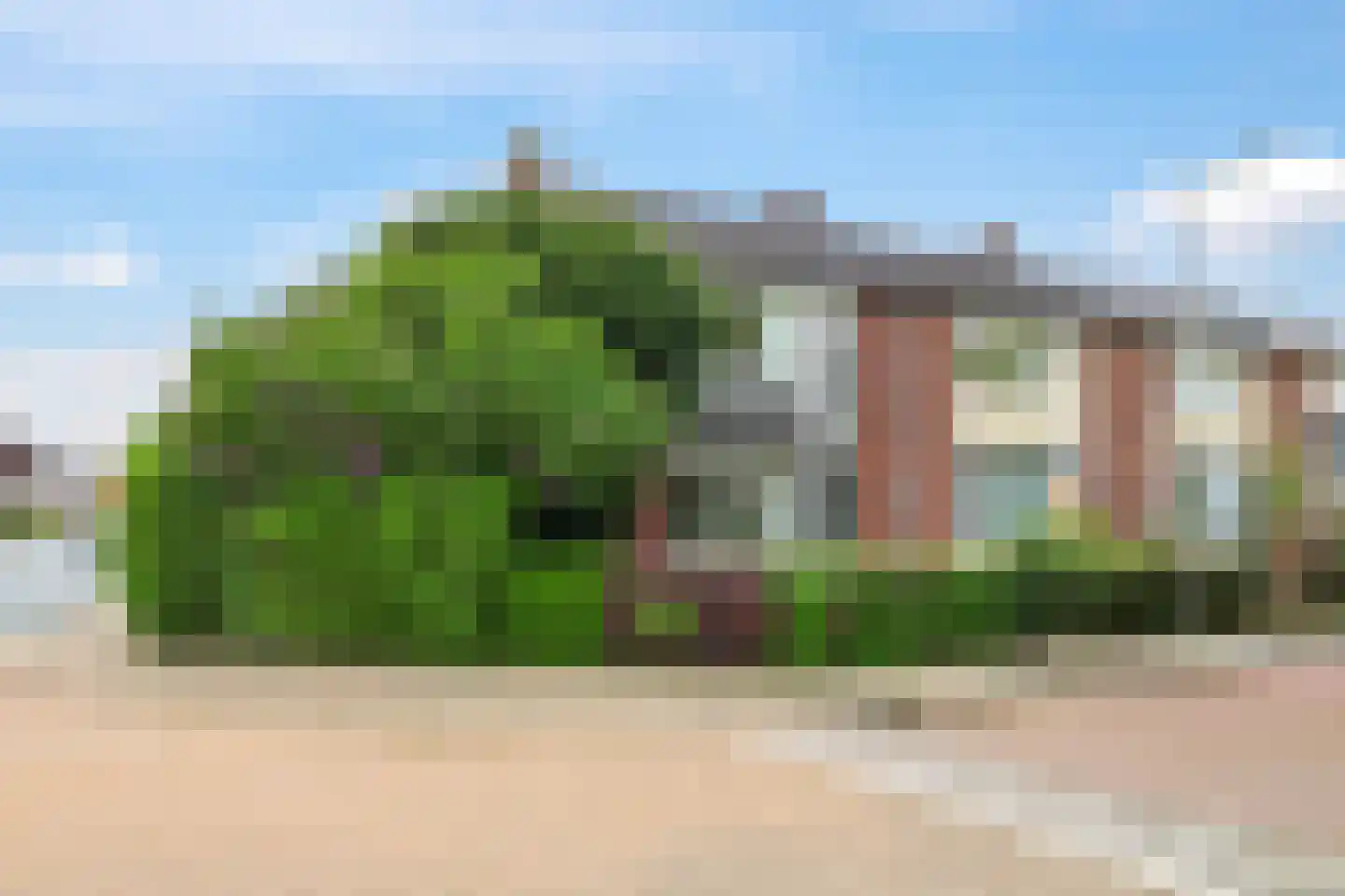Esdoornstraat 42 Bemmel thumbnail 5
