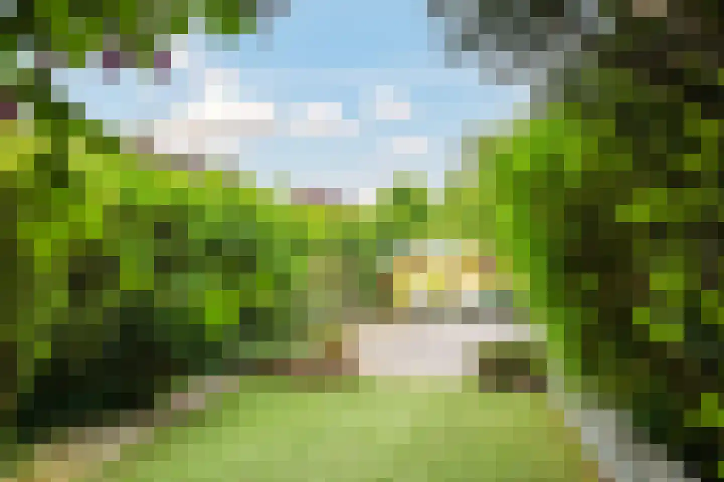 Esdoornstraat 42 Bemmel thumbnail 61