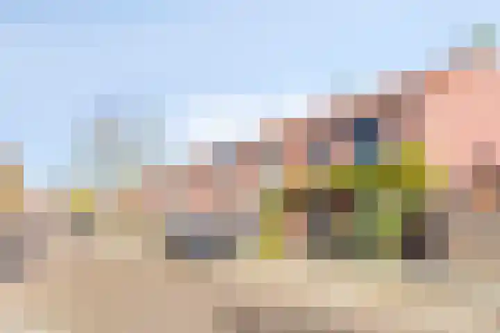 Esdoornstraat 42 's-Hertogenbosch thumbnail 33
