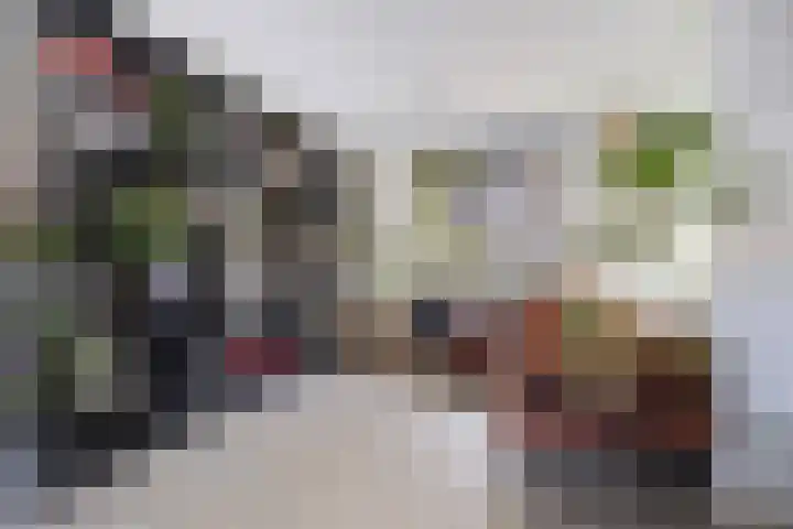 Esdoornstraat 42 's-Hertogenbosch thumbnail 4