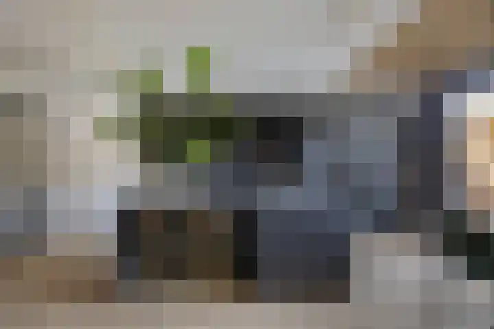 Esdoornstraat 42 's-Hertogenbosch thumbnail 8