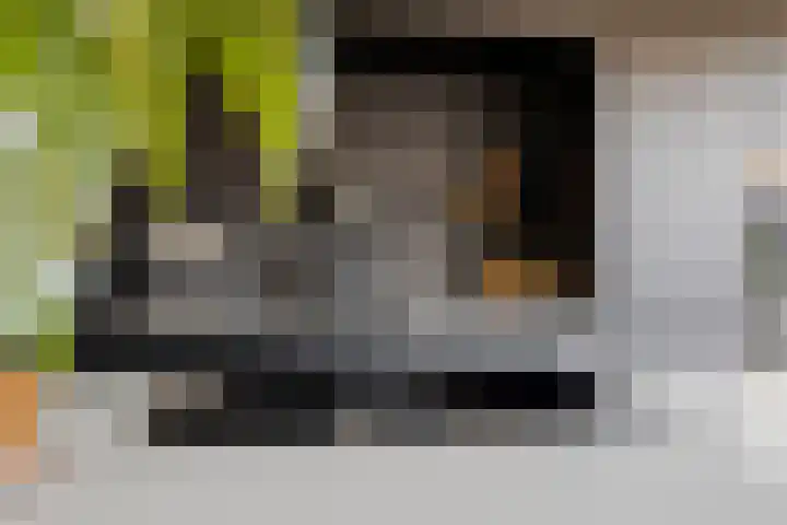 Esdoornstraat 42 's-Hertogenbosch thumbnail 9