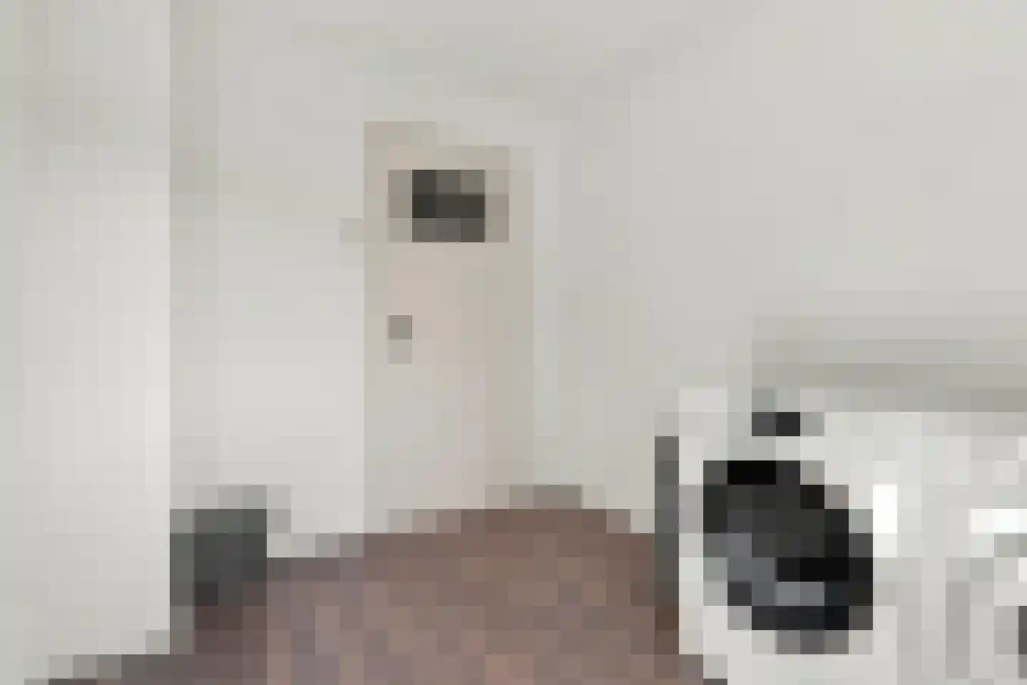 Esdoornstraat 45 Oost-Souburg thumbnail 20